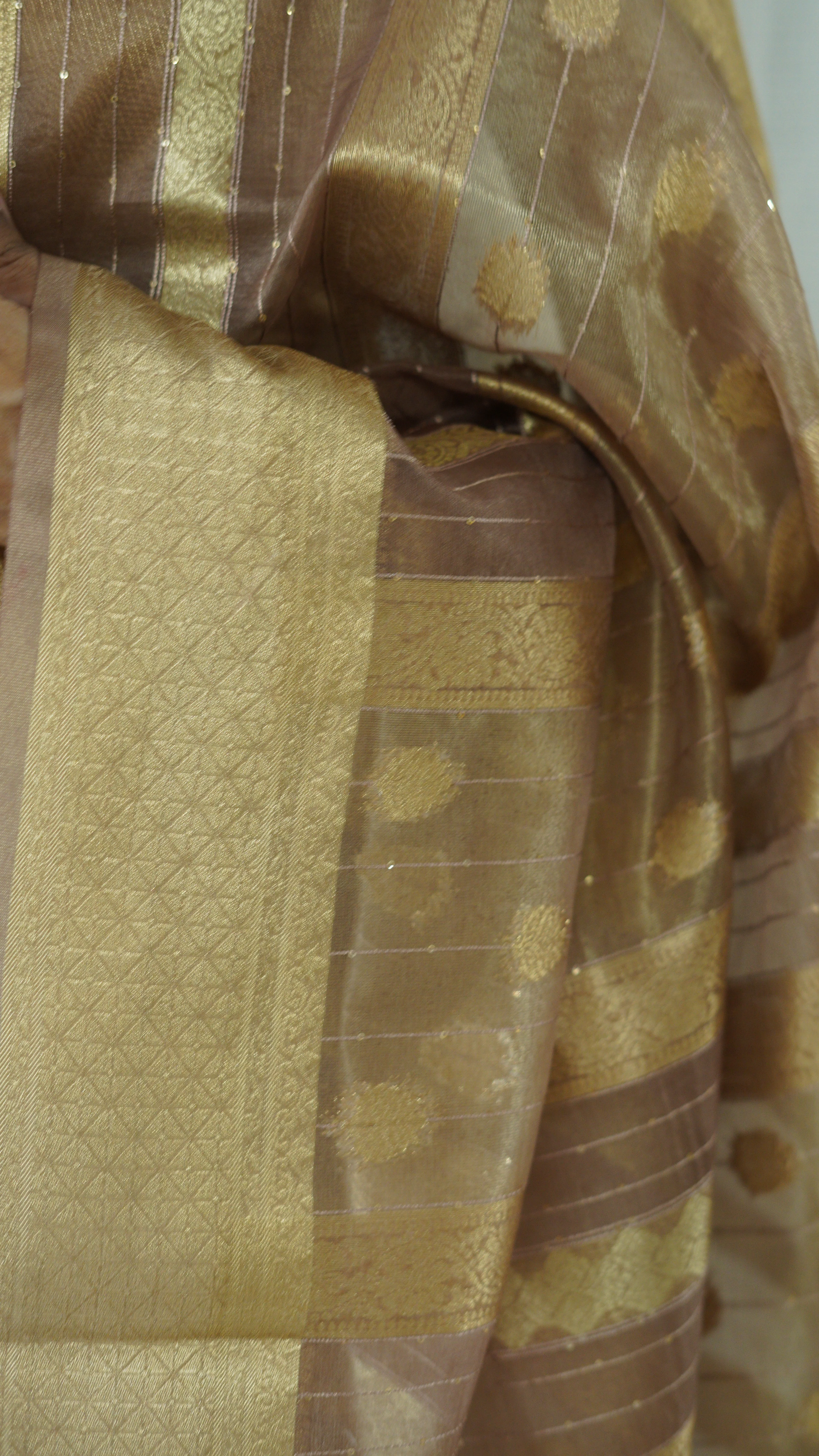 Beige Organza Tissue Saree with Blouse - Image 3