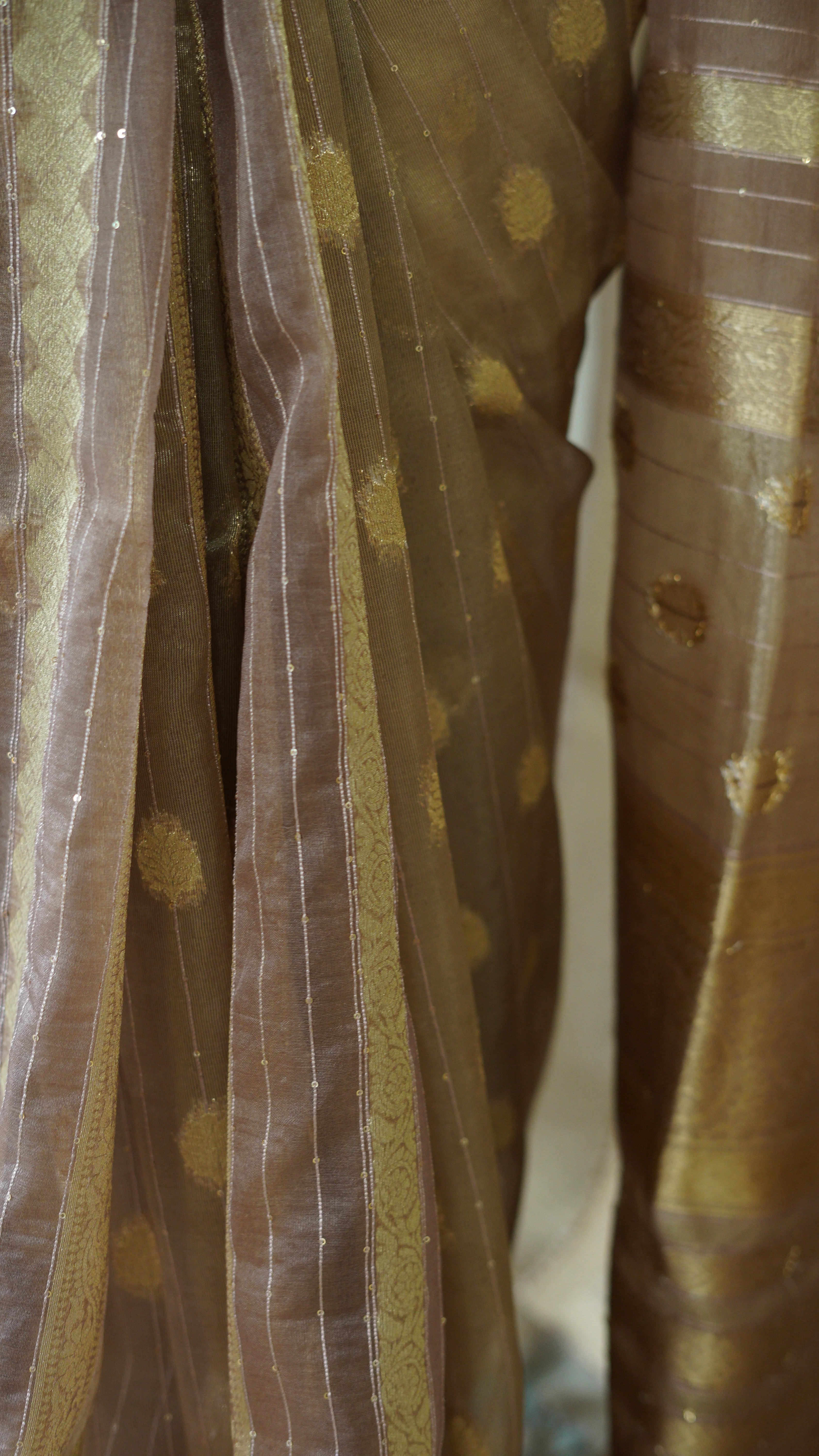 Beige Organza Tissue Saree with Blouse - Image 5