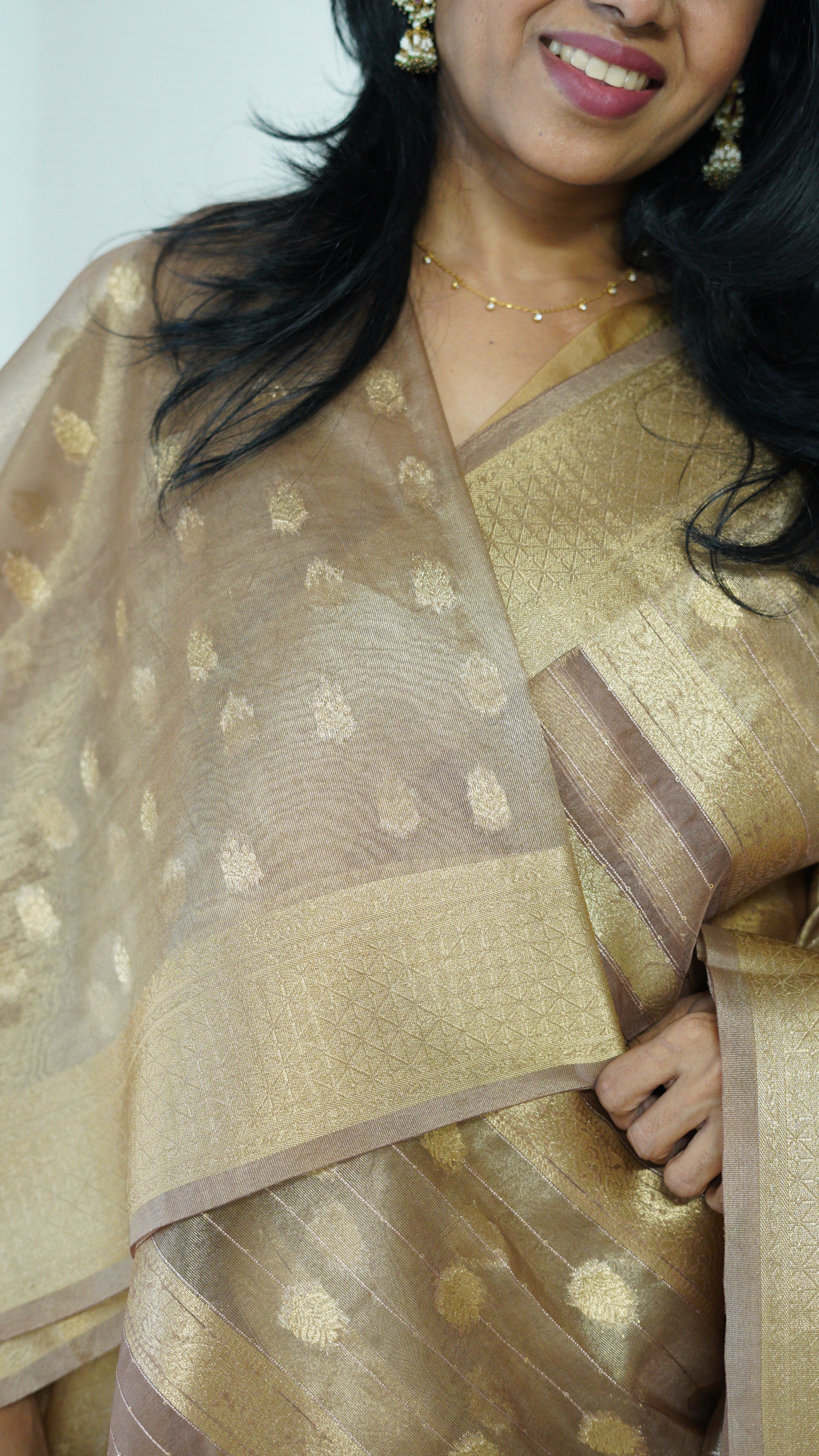 Beige Organza Tissue Saree with Blouse - Image 7