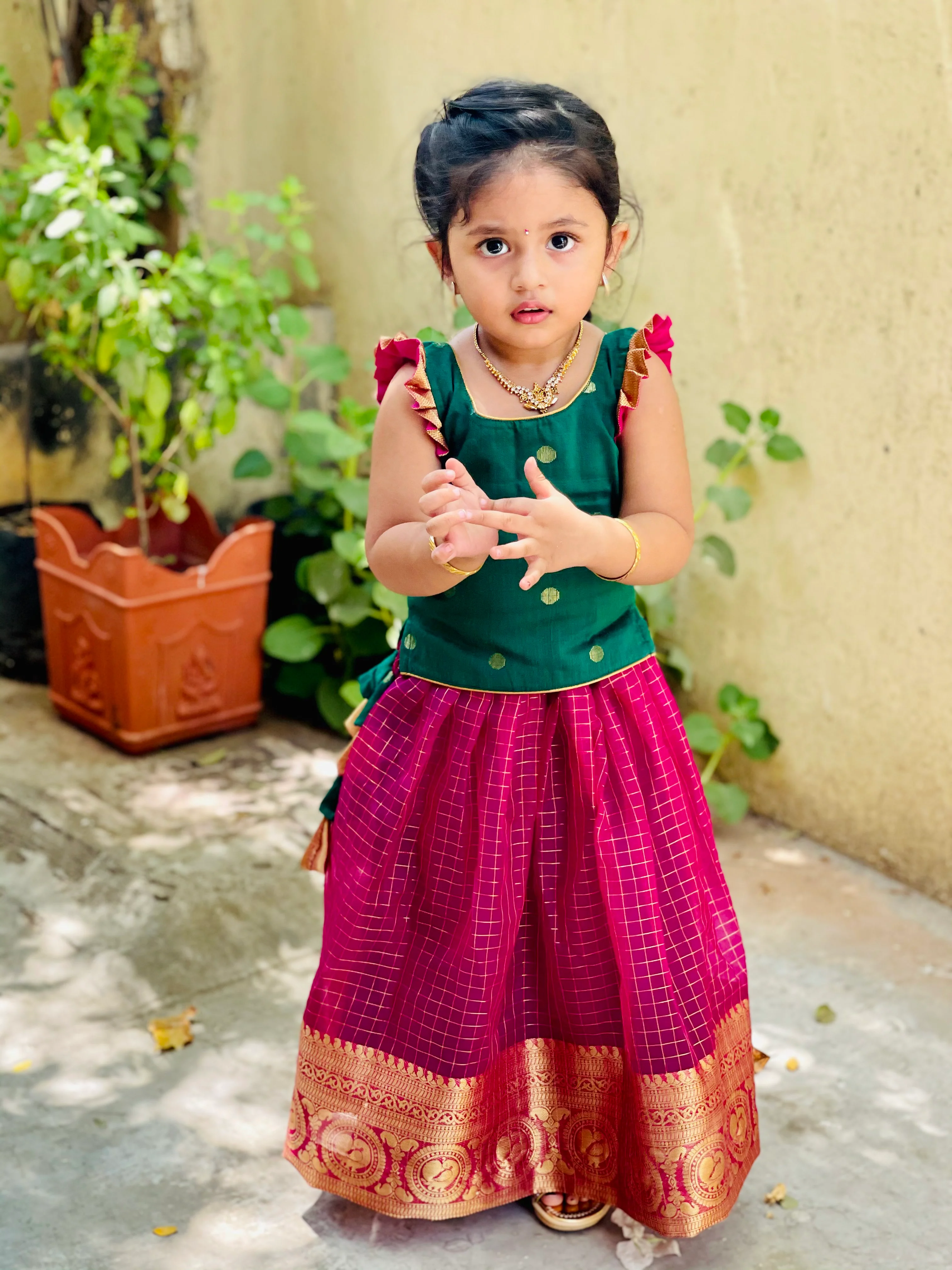 IMD - Haasna green mini